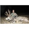 Image 3 : Archery Deer Hunt - Alberta