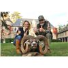 Image 2 : Mouflon Safari on Beautiful 13th Century French Estate