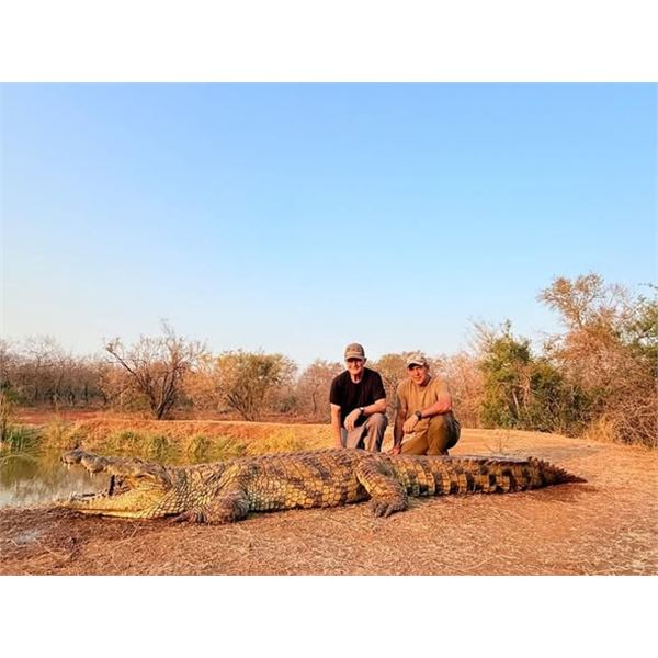 Crocodile Hunt in South Africa