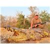Image 2 : Crocodile Hunt in South Africa
