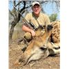 Image 3 : Crocodile Hunt in South Africa
