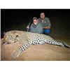 Image 1 : Leopard Hunt in Mozambique