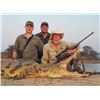 Image 3 : Leopard Hunt in Mozambique