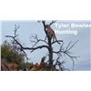Image 3 : Mountain Lion Hunt with Hounds