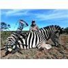 Image 3 : Safari for 2 Hunters, 2 Observers, Wildebeest, Hartebeest, Impala and Blesbok