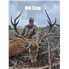 Image 1 : Scotland Red Stag Hunt