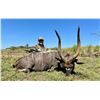 Image 1 : 7-Days for 2 Hunters, including 1 Golden Wildebeest, 1 Blue or Black Wildebeest, 1 Impala