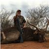 Image 3 : 7-Days for 2 Hunters, including 1 Golden Wildebeest, 1 Blue or Black Wildebeest, 1 Impala