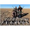 Image 3 : Sandhill Crane Hun t for two Hunters