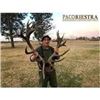Image 1 : Argentina Red Stag