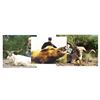 Image 1 : Argentina Hunt- 2 Hunters 1 boar, 1 Ram, 1 Multihorned for each Hunter