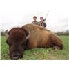 Image 2 : 777 Ranch 3 Day/2 Night Exotic Hunt for one Hunter, one Non-hunter