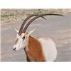 Image 3 : 777 Ranch 3 Day/2 Night Exotic Hunt for one Hunter, one Non-hunter