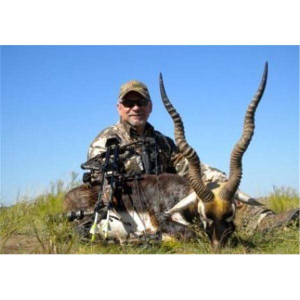 Argentina Hunting 4 Hunters includes 1 Blackbuck, 1 Patagonic Ram + 2 Wild Boars