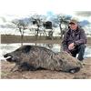 Image 3 : Argentina Hunting 4 Hunters includes 1 Blackbuck, 1 Patagonic Ram + 2 Wild Boars