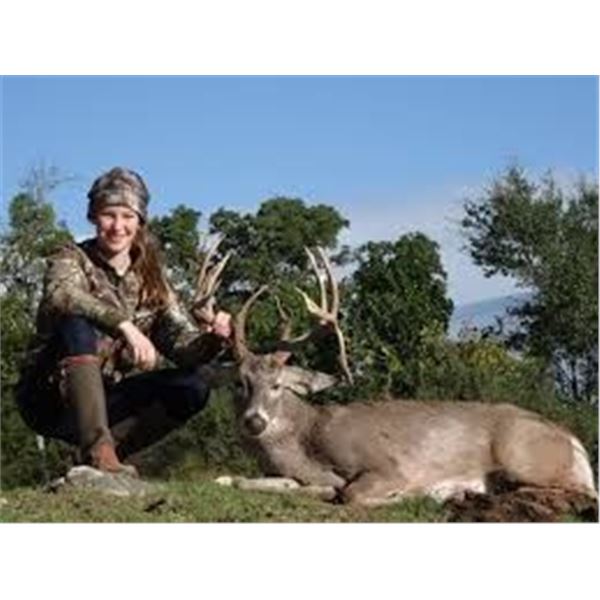Texas Whitetail and Exotic Hunt