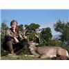 Image 1 : Texas Whitetail and Exotic Hunt