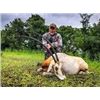 Image 2 : Texas Whitetail and Exotic Hunt