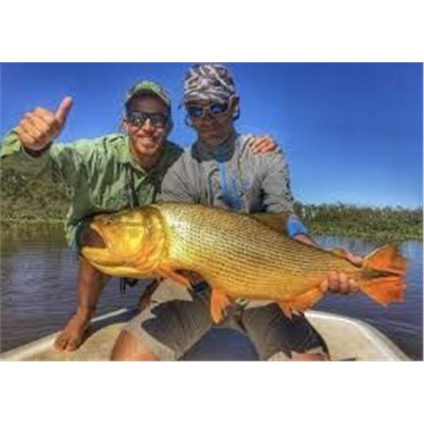 Argentina: Northern Territories 5 Day 6 Night Free Range Hunt & Golden Dorado Fishing for 2 hunters.