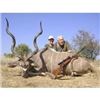 Image 1 : Safari for 2 Hunters/2 Observers including ! Kudu, 1 Nyala, 1 Bushbuck