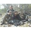 Image 1 : Aoudad Hunt Texas