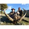 Image 8 : Mouflon Sheep Hunt in Spain with Giuseppe & Curro Carrizosa - SPAIN