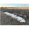 Image 11 : Idaho Snow Goose Hunt for 7 hunters with Four Flyways