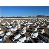 Image 6 : Idaho Snow Goose Hunt for 7 hunters with Four Flyways