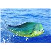 Image 15 : 5-Night Tropical Costa Rica Escape with 2 Days Fishing with Crocodile Bay