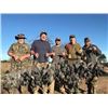 Image 11 : 4-Day Argentina Dove Shooting + Pigeon or Golden Dorado Fishing for Up to 8 hunters