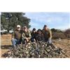 Image 13 : 4-Day Argentina Dove Shooting + Pigeon or Golden Dorado Fishing for Up to 8 hunters