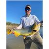 Image 14 : 4-Day Argentina Dove Shooting + Pigeon or Golden Dorado Fishing for Up to 8 hunters