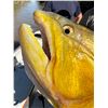 Image 16 : 4-Day Argentina Dove Shooting + Pigeon or Golden Dorado Fishing for Up to 8 hunters