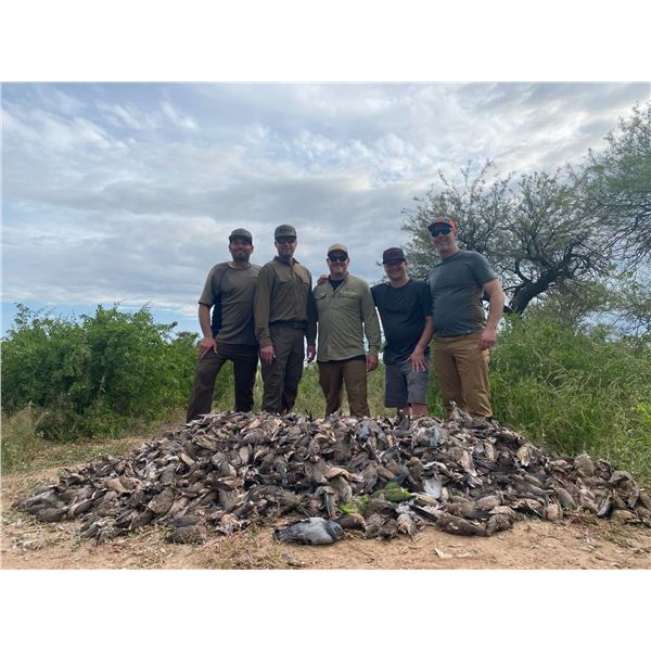 4-Day Argentina Dove Shooting + Pigeon or Golden Dorado Fishing for Up to 8 hunters