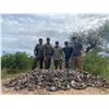 Image 1 : 4-Day Argentina Dove Shooting + Pigeon or Golden Dorado Fishing for Up to 8 hunters