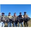 Image 4 : 4-Day Argentina Dove Shooting + Pigeon or Golden Dorado Fishing for Up to 8 hunters