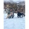 Image 12 : 5-day Winter Backcountry Predator hunt for Wolves, Mountain Lions, and Bobcats in the Frank Church