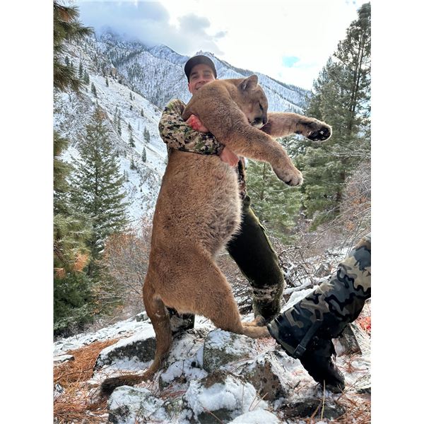 5-day Winter Backcountry Predator hunt for Wolves, Mountain Lions, and Bobcats in the Frank Church