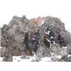 Image 5 : 5-day Winter Backcountry Predator hunt for Wolves, Mountain Lions, and Bobcats in the Frank Church