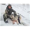 Image 6 : 5-day Winter Backcountry Predator hunt for Wolves, Mountain Lions, and Bobcats in the Frank Church