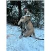Image 8 : 5-day Winter Backcountry Predator hunt for Wolves, Mountain Lions, and Bobcats in the Frank Church