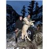 Image 9 : 5-day Winter Backcountry Predator hunt for Wolves, Mountain Lions, and Bobcats in the Frank Church