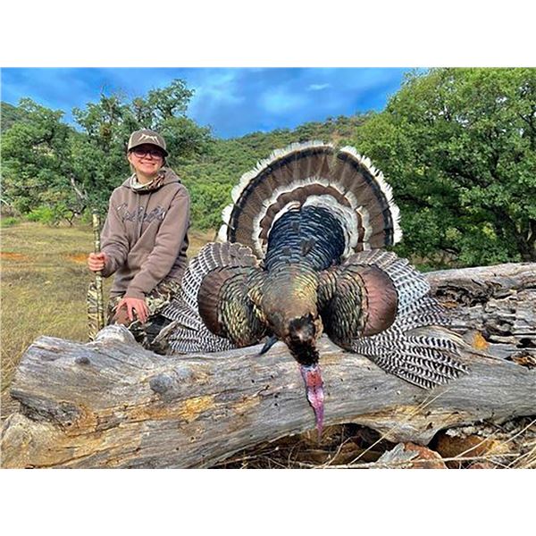 Gould’s Mexico Turkey Hunt for Two with Mesquite Mountain Outfitters
