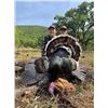 Image 6 : Gould’s Mexico Turkey Hunt for Two with Mesquite Mountain Outfitters