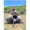 Image 7 : Gould’s Mexico Turkey Hunt for Two with Mesquite Mountain Outfitters