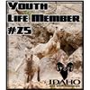 Image 2 : Youth Life Member #25 and Henry Golden Boy Youth Model .22 S/L/LR rifle w/Skinner brass peep sight