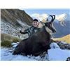 Image 1 : New Zealand 5-Day Chamois Hunt for 1 hunter and 1 non-hunter plus $500 credit towards 2nd Trophy