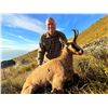 Image 4 : New Zealand 5-Day Chamois Hunt for 1 hunter and 1 non-hunter plus $500 credit towards 2nd Trophy