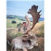 Image 7 : New Zealand 5-Day Chamois Hunt for 1 hunter and 1 non-hunter plus $500 credit towards 2nd Trophy