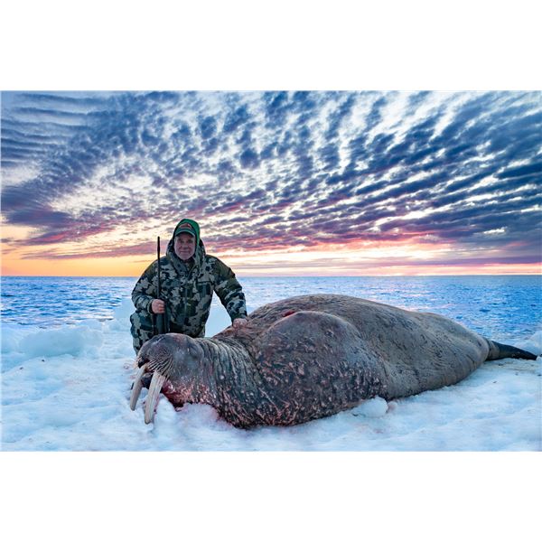 5-day 1x1 Walrus Hunt with Canada North Outfitting